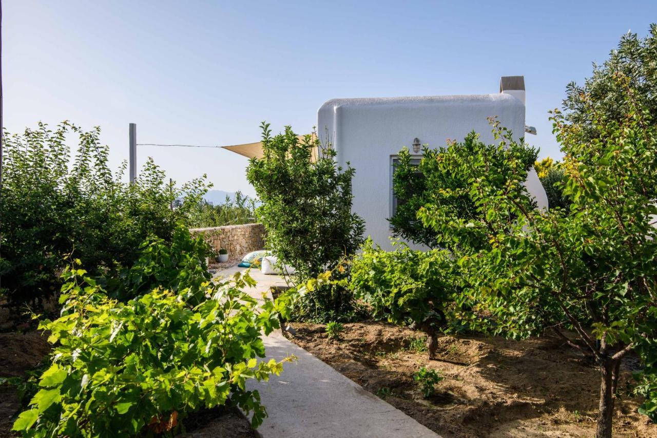 Vila Live & Dream Mykonos Town Exteriér fotografie